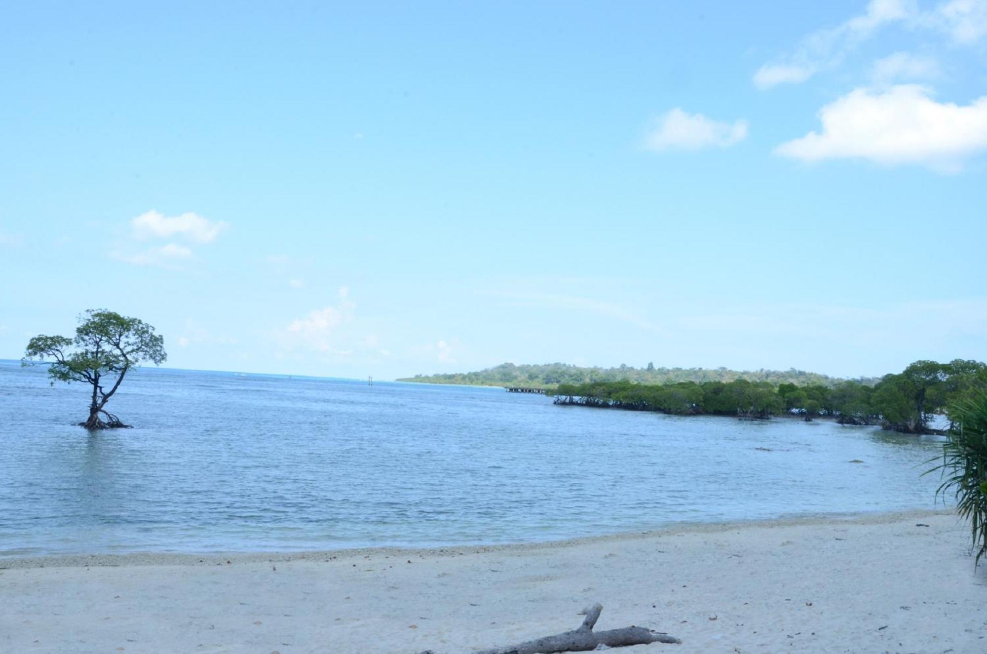 Coconhuts Beach Resort Lakshmanpur Екстериор снимка